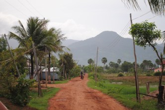 manguiers rizières velo (7)
