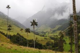 vallée de cocora